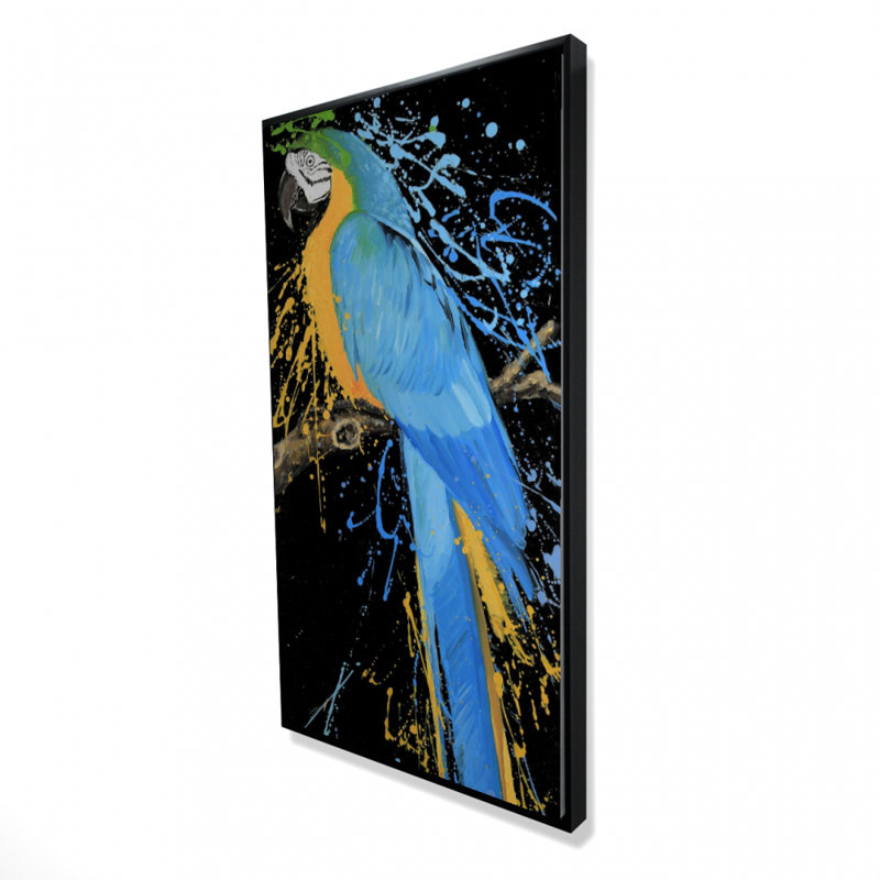 Blue macaw parrot - 24"x48" Framed canvas
