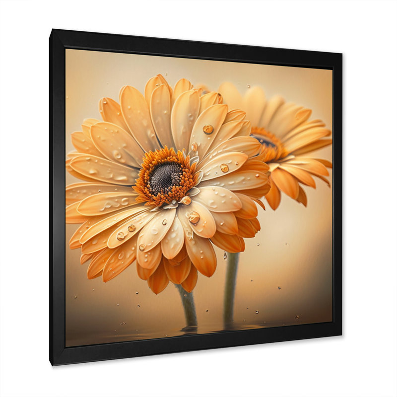 «Orange and White Daisy'S I», reproduction d'art sur toile, Cadre photo noir, H 24 po x l 24 po