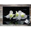 Non-Slip Outdoor Doormat