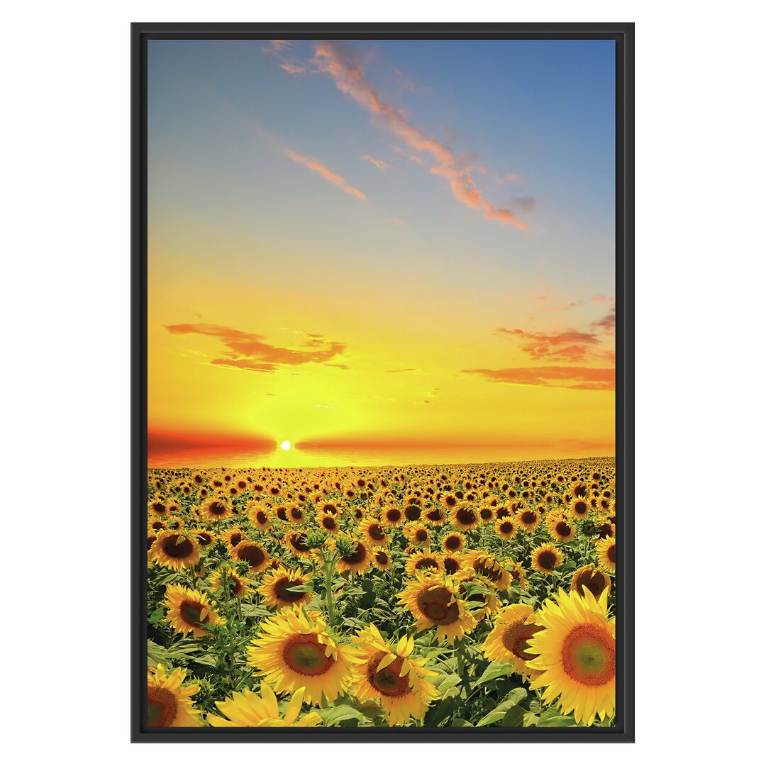 Gerahmtes Wandbild Sonnenuntergang Sonnenblumen