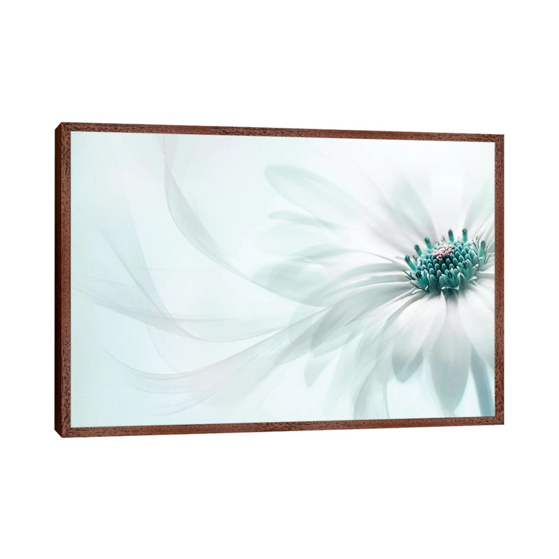 Purity - Print on Canvas, 101.6 cm H x 66.04 cm W, Classic Brown Wood Framed