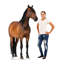 Support en carton cheval