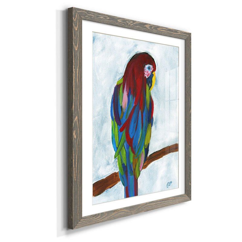 Perroquet tropical - cadre photo, reproduction d'art sur papier, H 44 po x l 31 po x P 1 po, gris