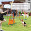 69cm H Dog Agility