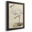Toile encadrée de qualité supérieure embellie Antique Heron III (ASH) - prête à être accrochée-10839889