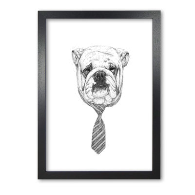 Cool Bulldog by Mercedes Lopes Charro - Print