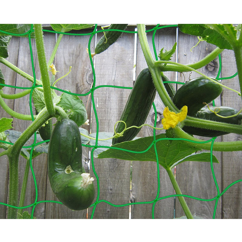 Support pour plante en treillis maillé Trahan, H 6 pi x l 3 po x P 0,8 po