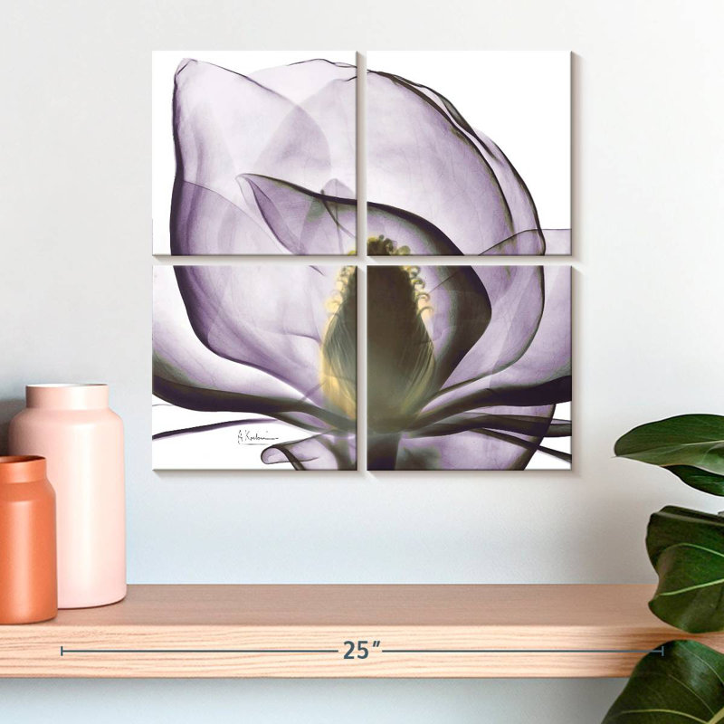 Harnek Magnolia X-ray