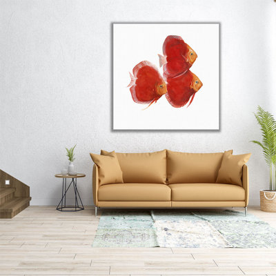 «Discus Fish VI», reproduction d'art sur toile