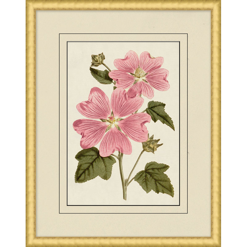 Fresh Flowers 6 Print