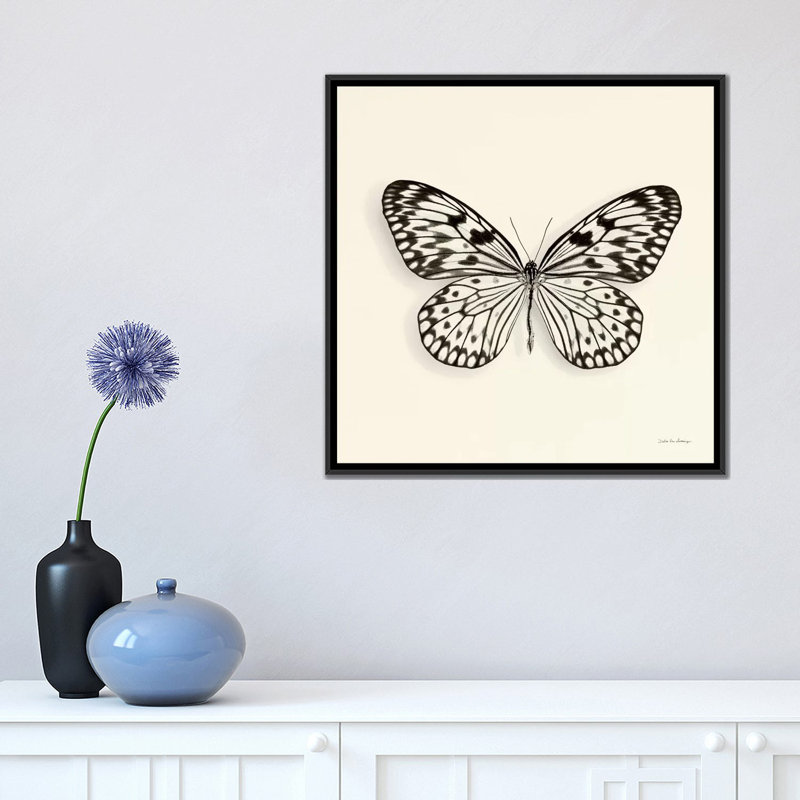 «Butterfly V in B&W», impression sur toile, H 18 po x l 18 po x P 1,5 po, Toile avec cadre noir, Pas de tapis