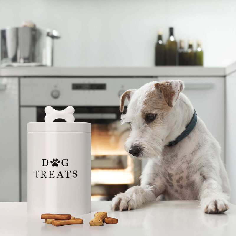 White Ceramic Airtight Dog Treat Jar with Bone Handle