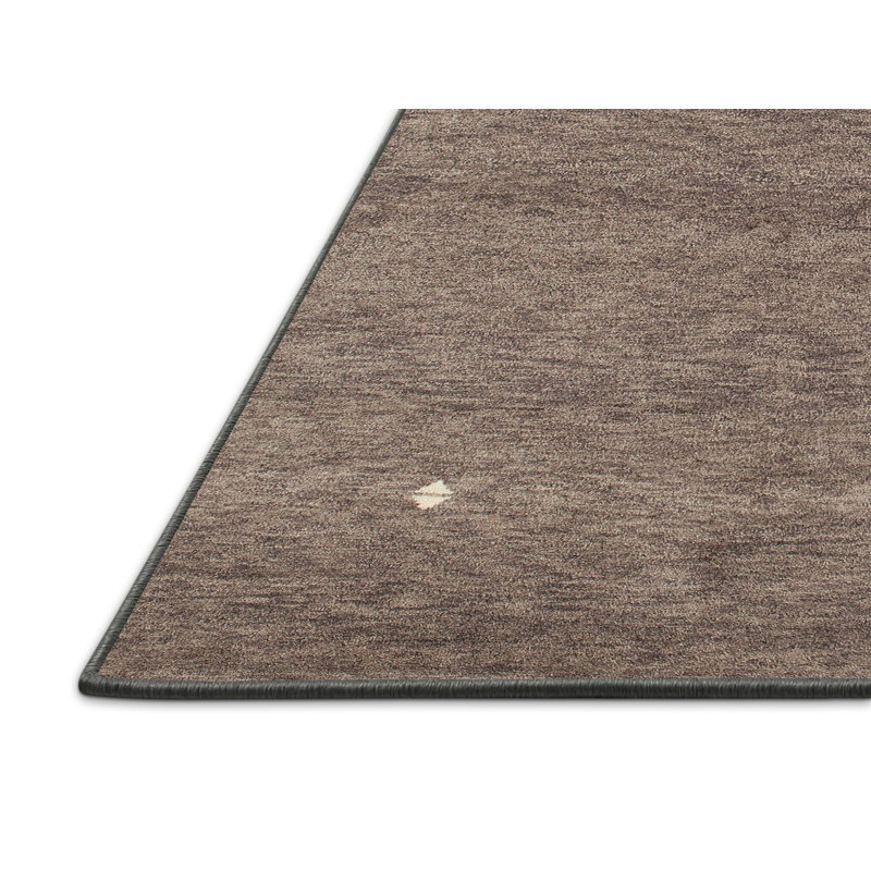 Tapis brun contemporain, Rectangle 4 pi x 6 pi