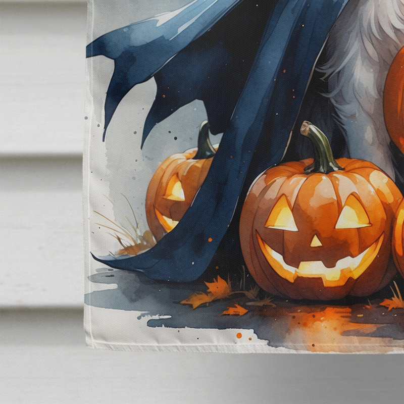 Drapeau de chiot Halloween House, Border collie