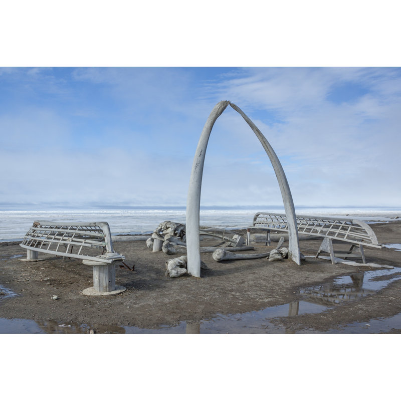 Whale Bone Arch In Barrow, Alaska by Mtnmichelle - Wrapped Canvas Print, 81cm H x 122cm W