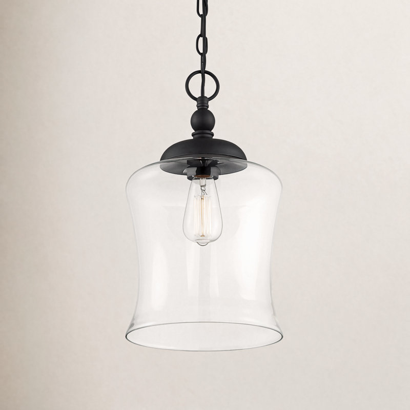 Luminaire suspendu simple en forme de cloche à 1 lumière Pinedale, Noir mat