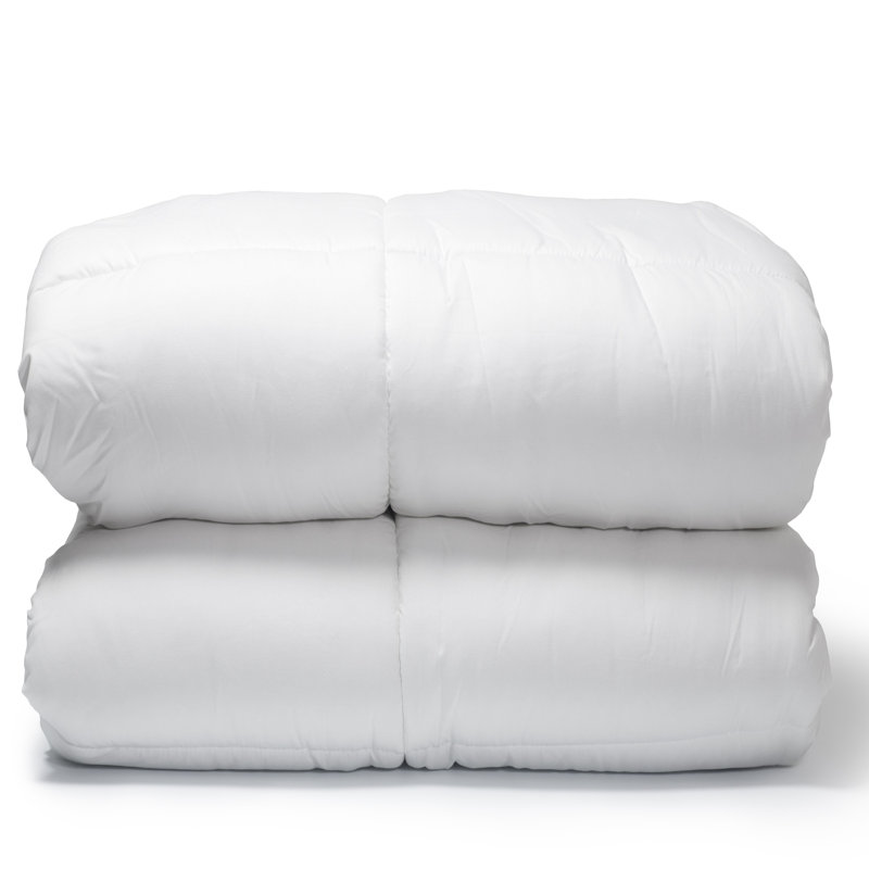 Pointehaven Cotton Percale Box Stitched Down Alternative Oversized Piping Comforter, Twin