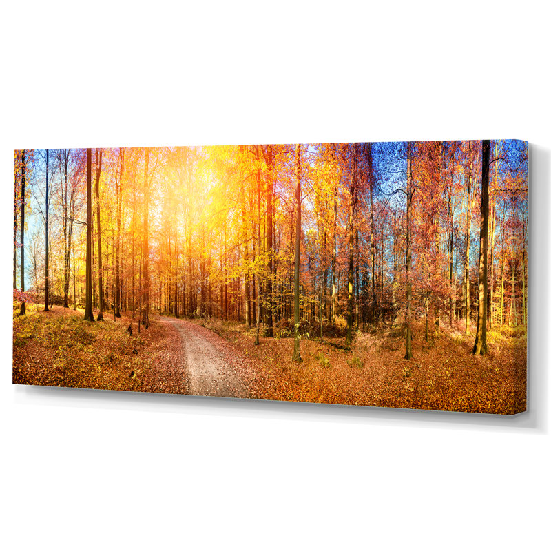 Sunlight in Autumn Forest - Photographie sur toile, H 12 po x l 20 po x P 1 po, Toile tendue