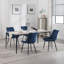Vassar Dining Chair-319175695-322071134
