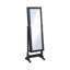 Miroir Dilshana