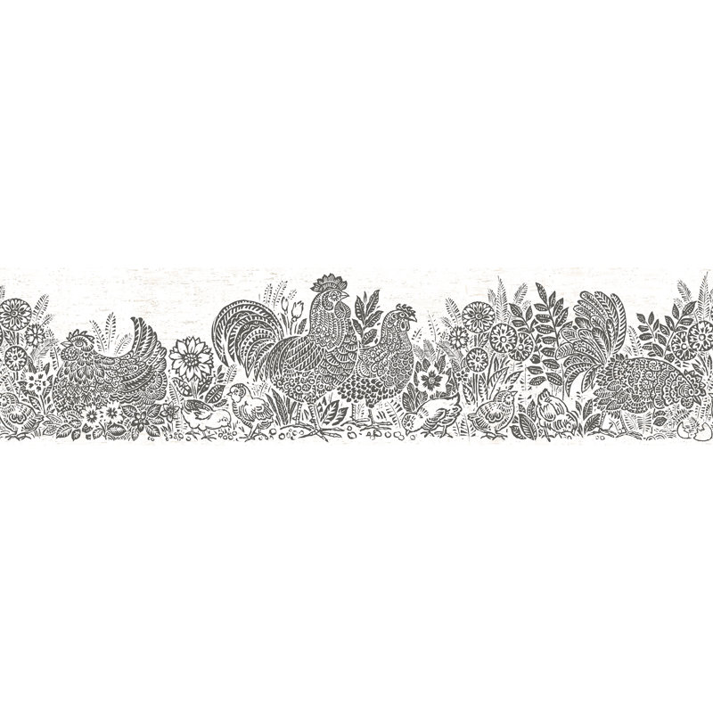 Bordure de poulet bleu parton, Noir