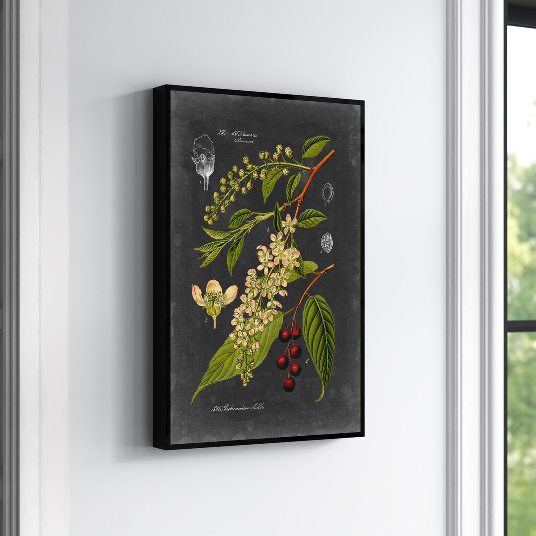 Leinwandbild Midnight Botanical II von Vision Studio