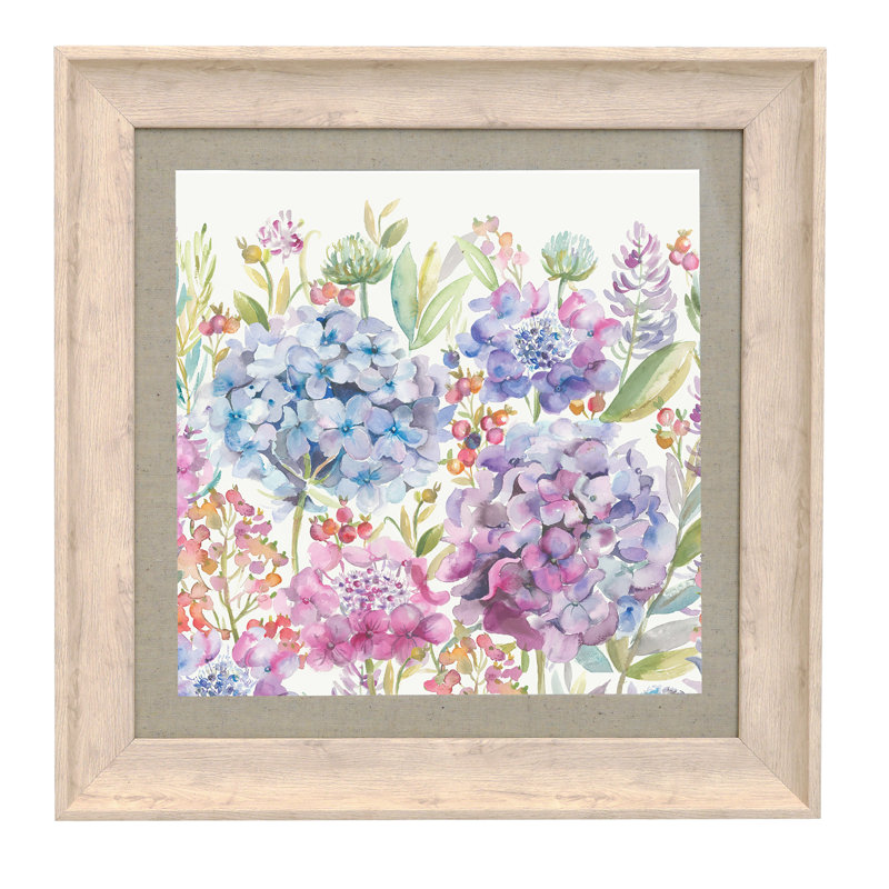 Hydrangea - Single Picture Frame Print