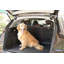 Enclos pour chien