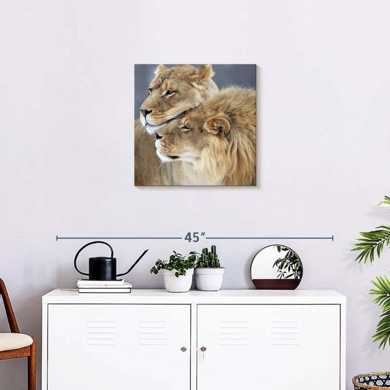 Amour de lion et de lionne Brampt, H 20 po x l 20 po