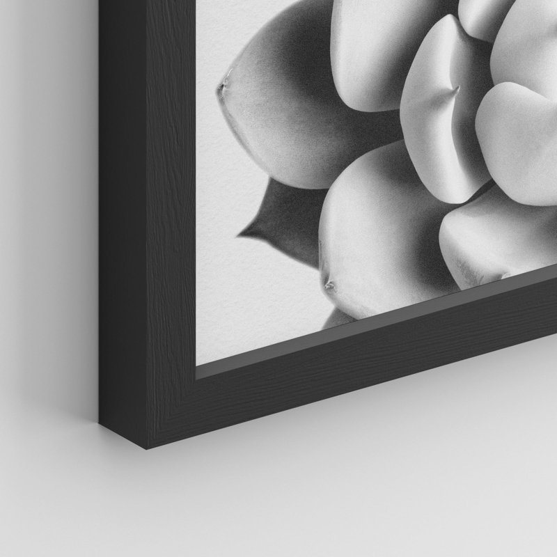 «Succulent Cactus Black and White Rosebud Gros plan» sur papier, H 10 po x l 8 po, Noir
