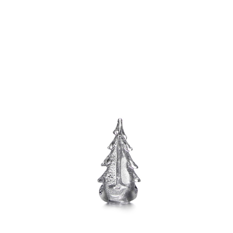 Silver Leaf Evergreen, 6 inch