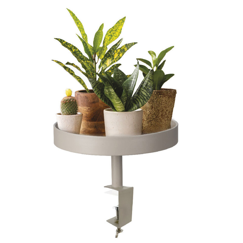 Pryinka Plant Stand
