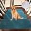 Tapis d'escalier bleu sarcelle Diannie