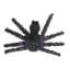 Black Spider Tinsel Ornament - Set Of 2