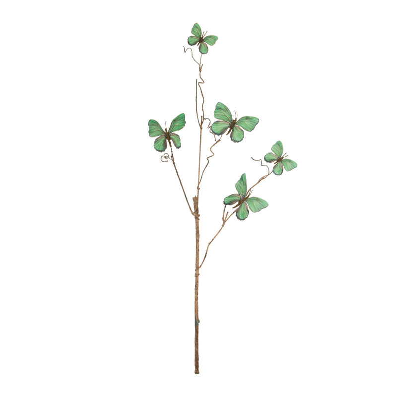 Brindille papillon, Vert