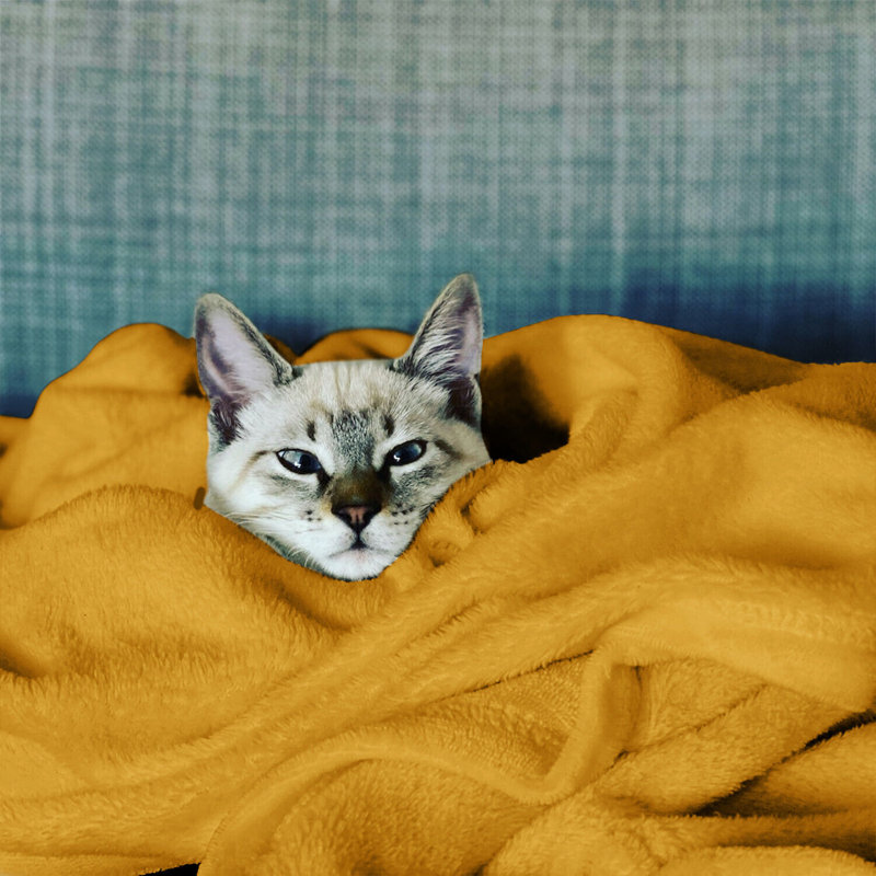 Carsonhill Reversible Mink Faux Fur Plush Fleece Throw/ Blanket, W150 x L200cm, Ochre