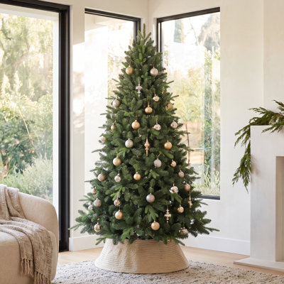 Spruce Christmas Tree