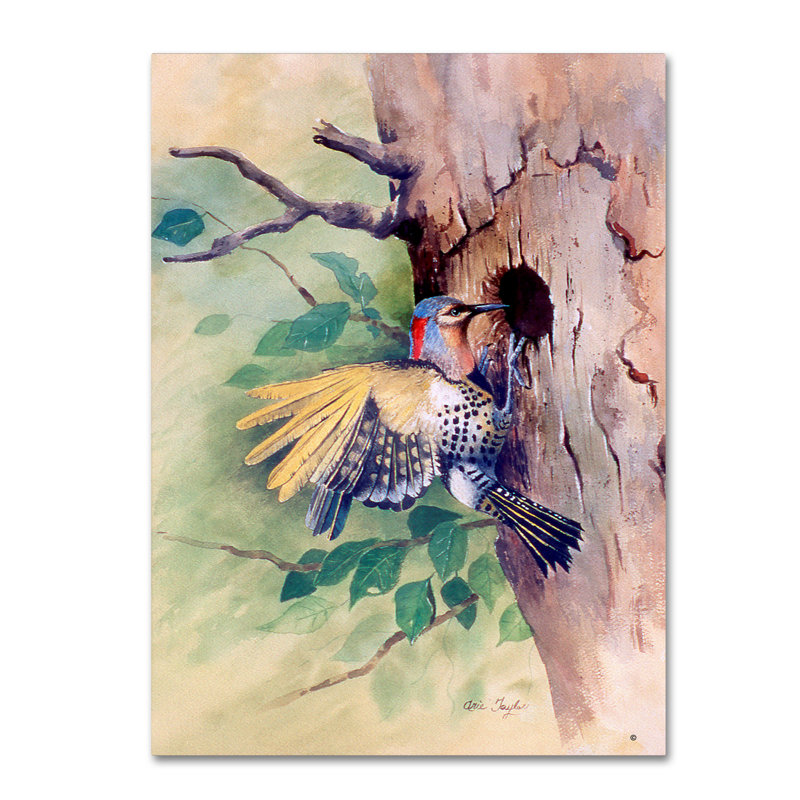 «Woodpecker» de Dugazon, reproduction sur toile tendue, H 19 po x l 14 po