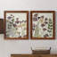Pressed Flower Arrangement V - Ensemble de 2 reproductions d'art-137164410-147857821-147857824