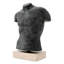 Aristo Handmade Bust