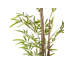 160cm Faux Bamboo Plant in Planter