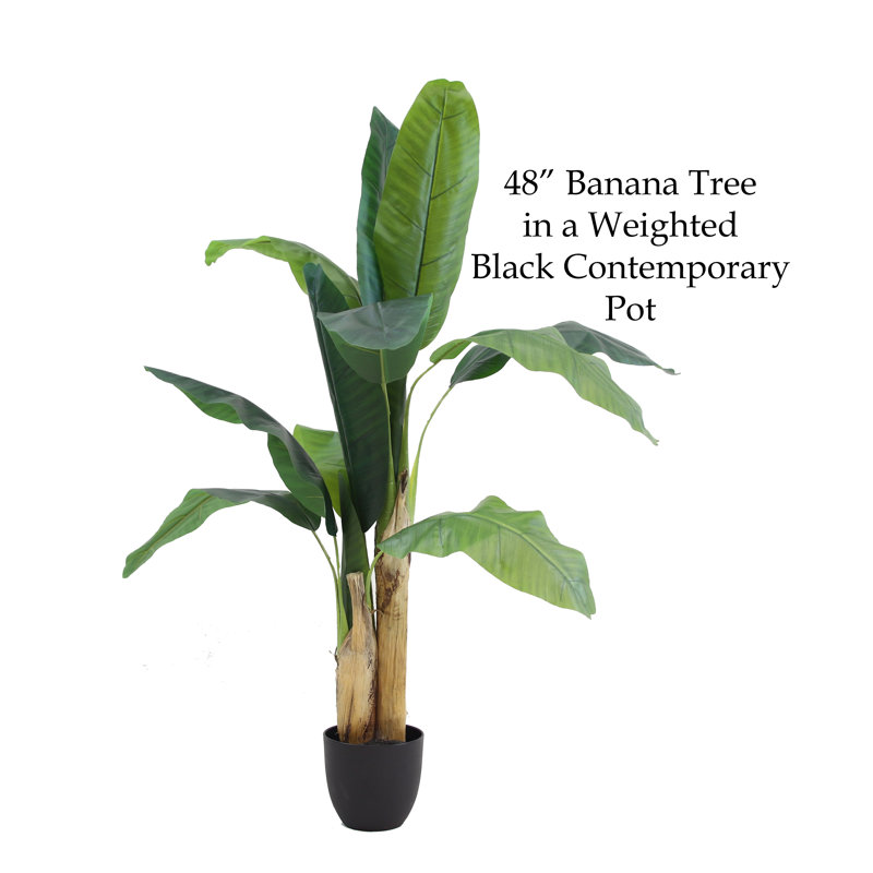 Arbre banane en soie vert 48 po en pot contemporain noir