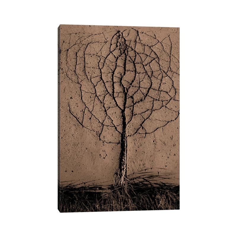 Asphalt Tree by Rasto Gallo - Print on Canvas, Wrapped Canvas, 66.04 cm H x 45.72 cm W x 3.175 cm D