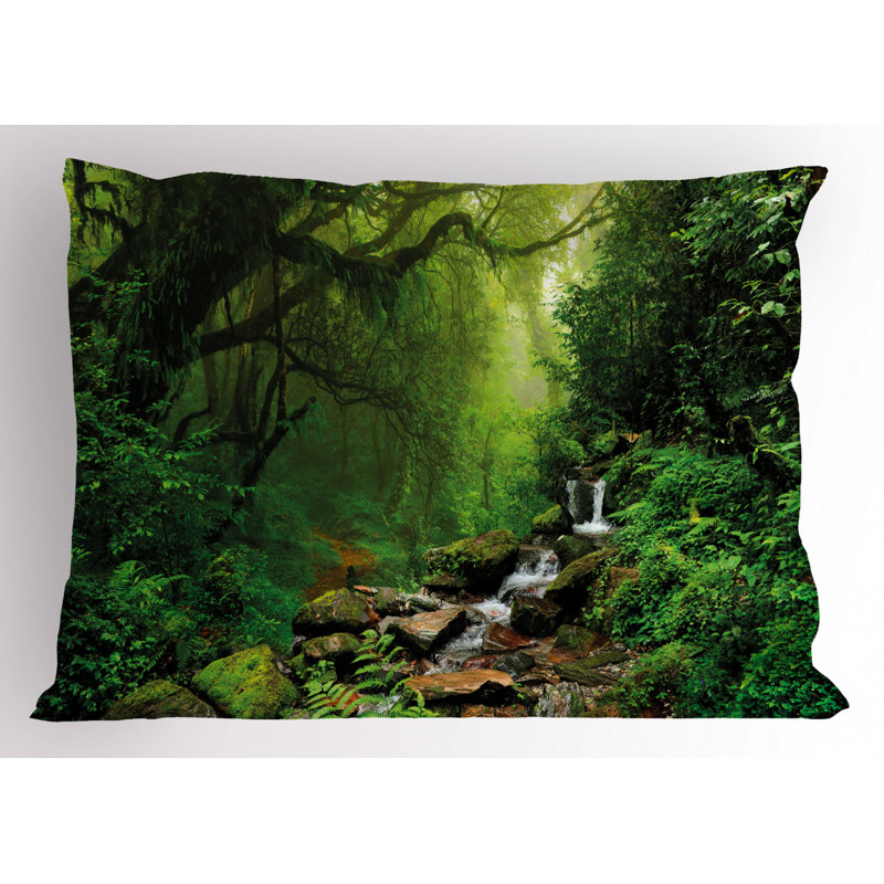 Dream Polyester Sham Set, Queen