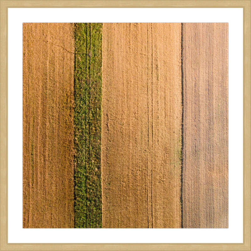 Single Picture Frame Print, 41 cm H x 41 cm W x 3.81 cm D