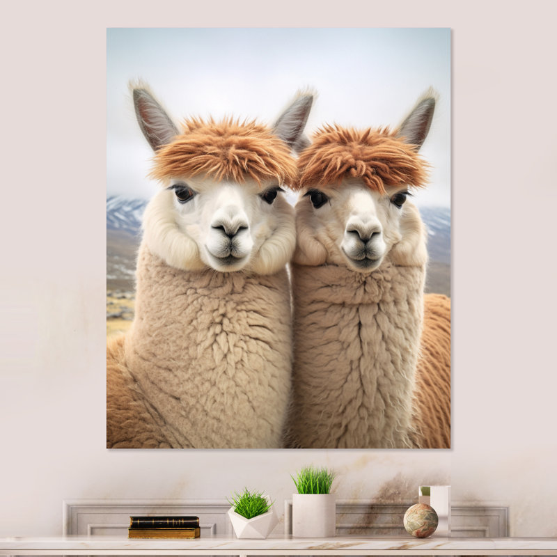 Alcapas Curious Companions Two - lama, impression sur métal, H 20 po x l 12 po x P 1 po
