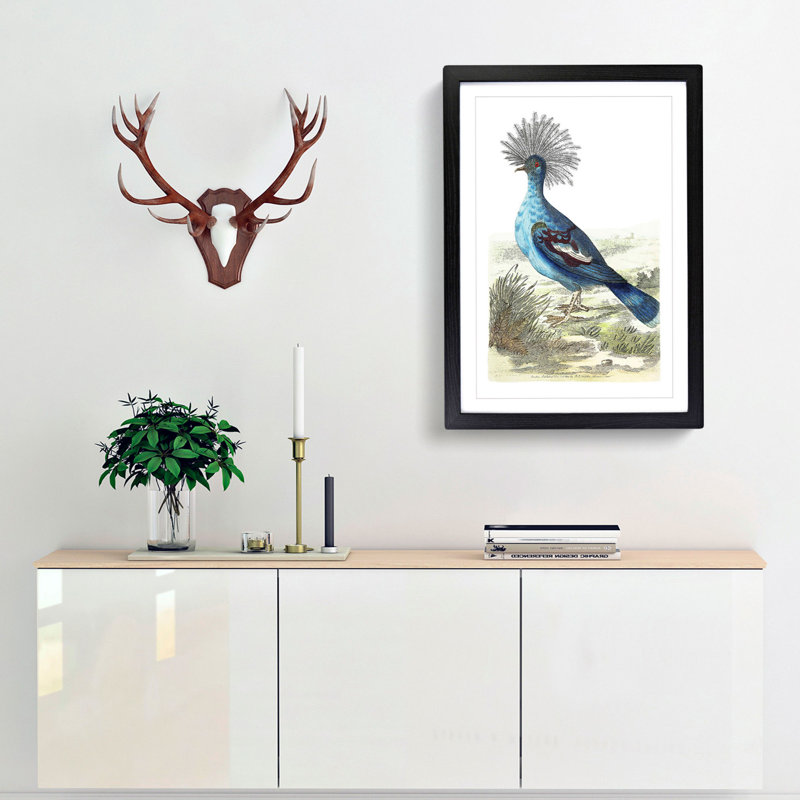 Crowned Pigeon by George Shaw - Picture Frame Painting Print, Black Framed, 36cm H x 27cm W x 2cm D