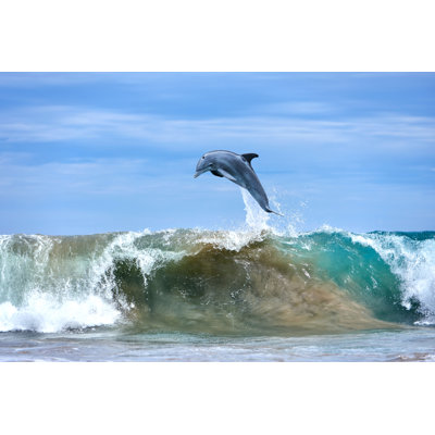 Dolphin Jumping At Ocean Waves by Zorazhuang - No Frame Art Prints on Canvas