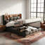 Upholstered Ottoman Bed-1350759074