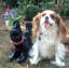 Statue de fantaisie pour chien